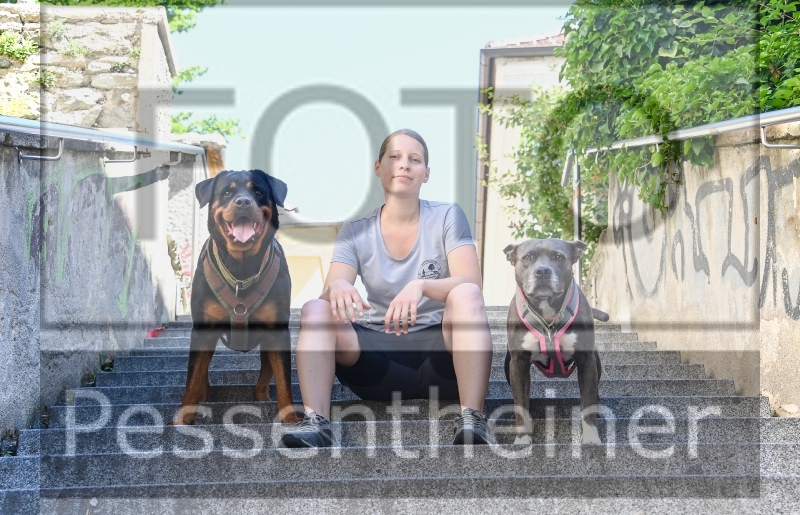 Pettrailer (06.06.2022)_3