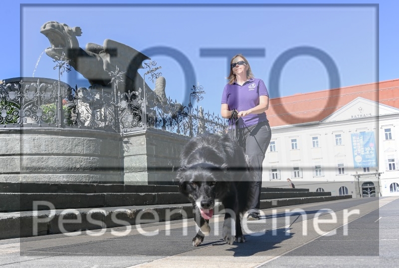 Pettrailer (06.06.2022)_14