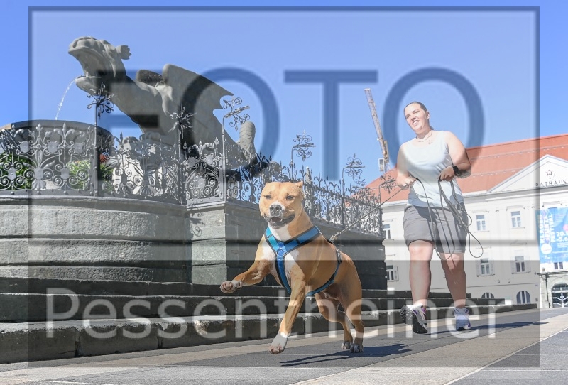 Pettrailer (06.06.2022)_3