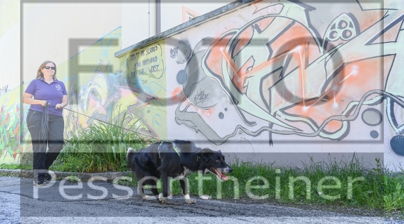 Pettrailer (06.06.2022)_11
