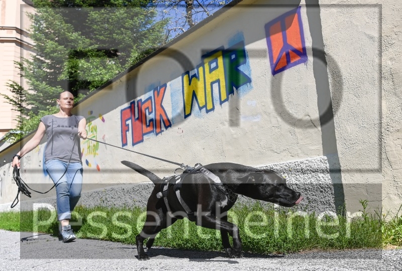Pettrailer (06.06.2022)_3