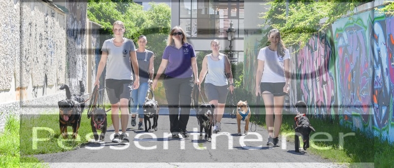 Pettrailer (06.06.2022)_9