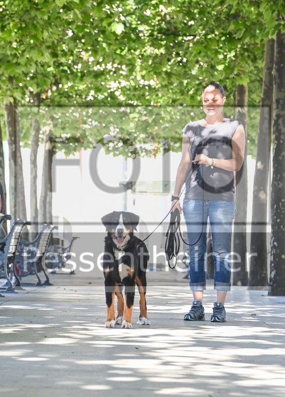 Pettrailer (06.06.2022)_14