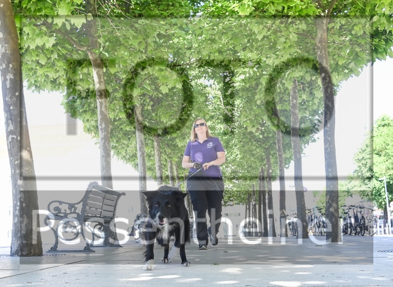 Pettrailer (06.06.2022)_8