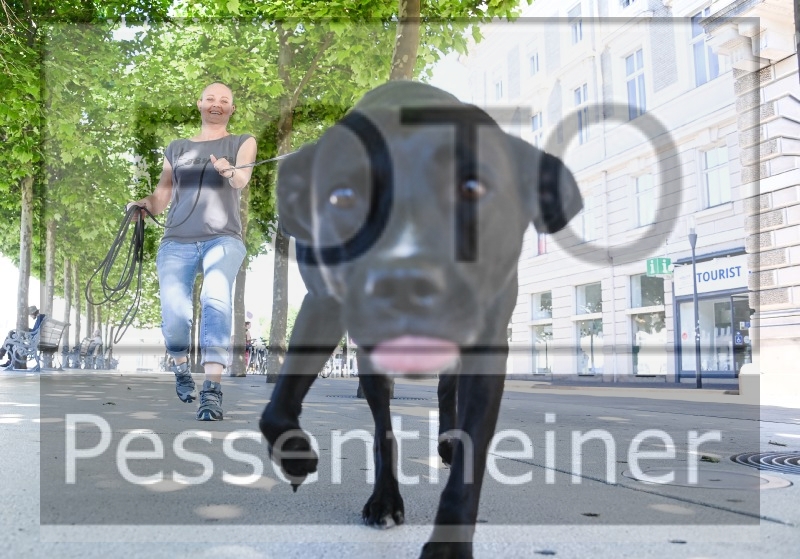 Pettrailer (06.06.2022)_13