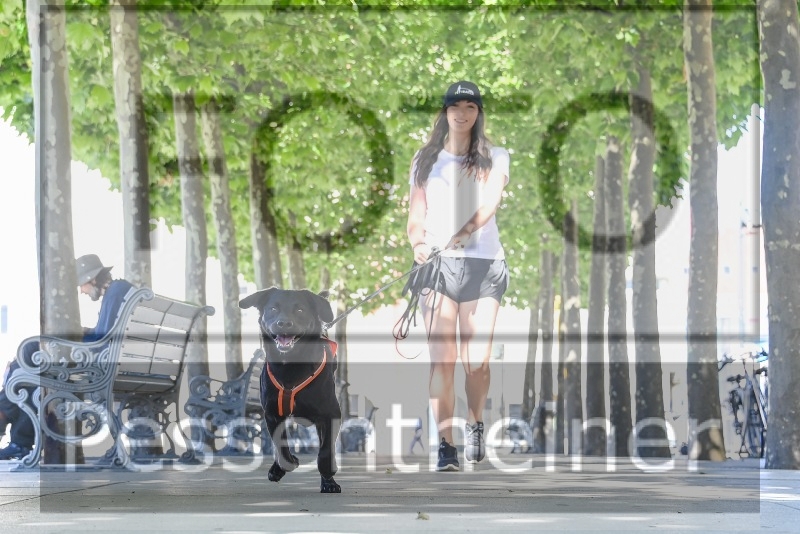 Pettrailer (06.06.2022)_5