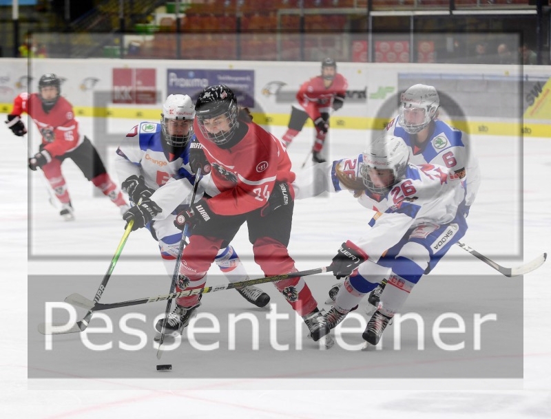 Stadtzeitung.11/23_1