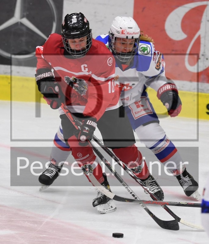 Stadtzeitung.11/23_2