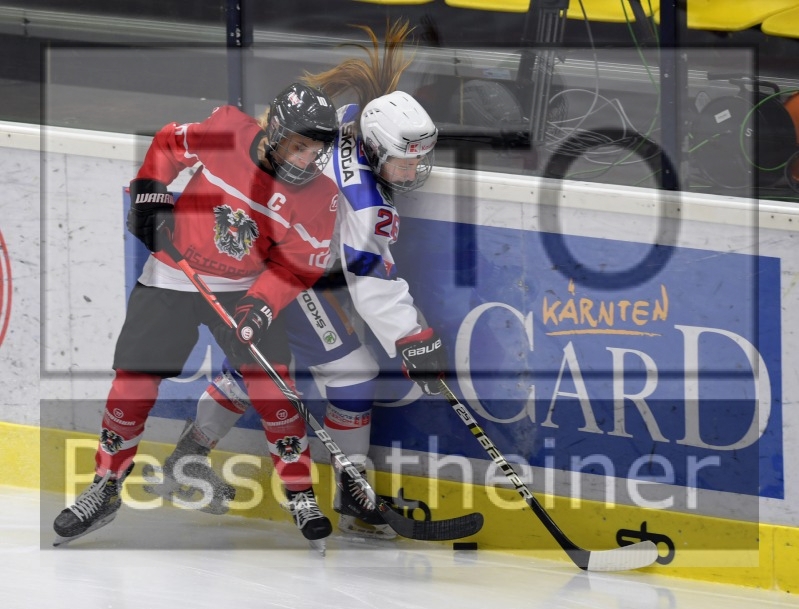 Stadtzeitung.11/23_3