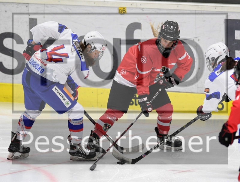 Stadtzeitung.11/23_4