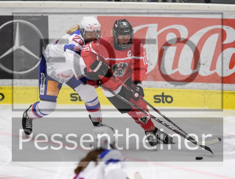 Stadtzeitung.11/23_6