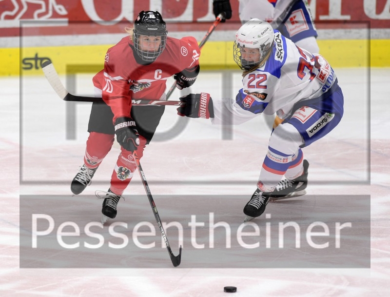 Stadtzeitung.11/23_7