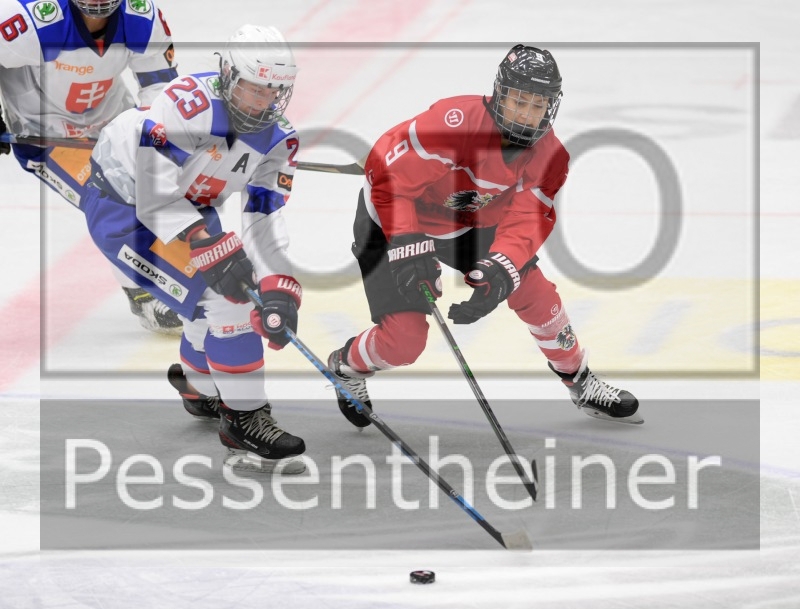 Stadtzeitung.11/23_8