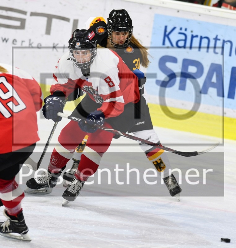 Stadtzeitung.11/23_14