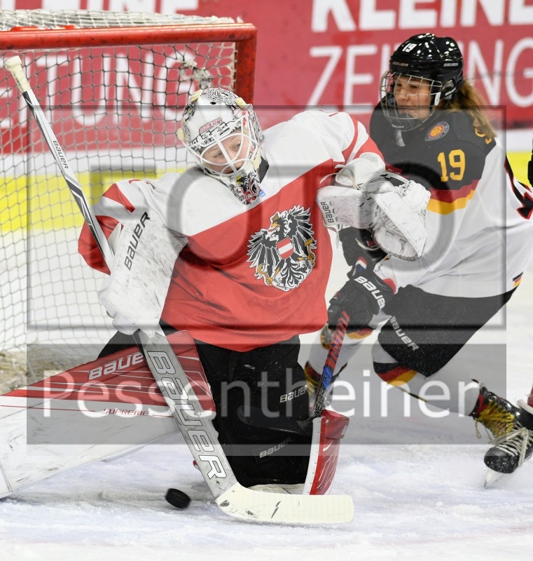 Stadtzeitung.11/23_16