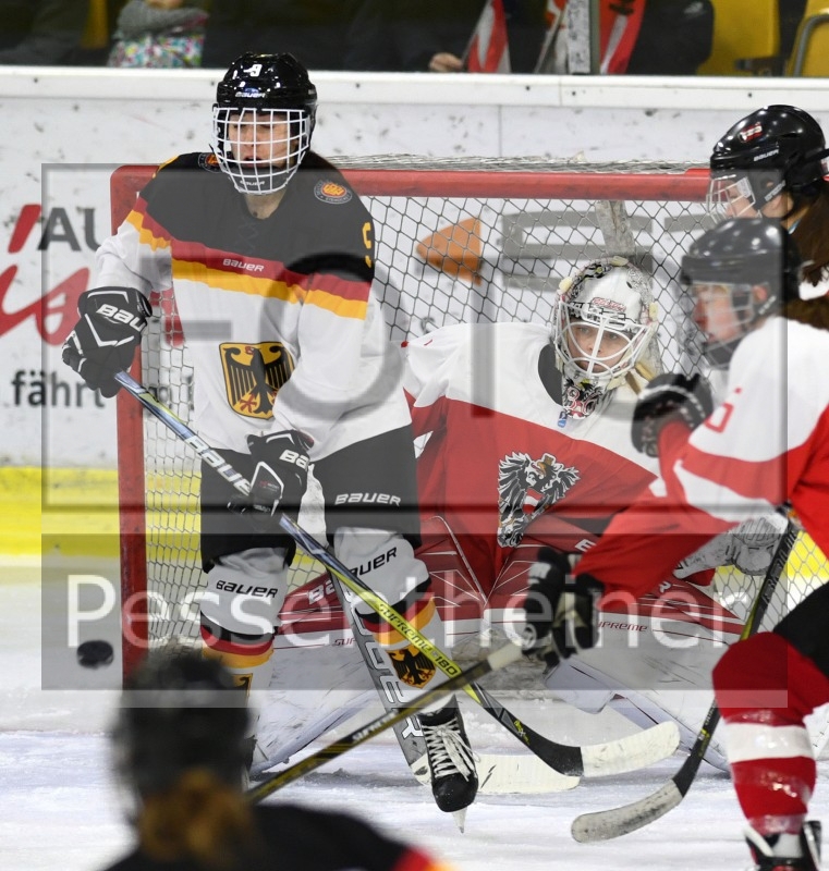 Stadtzeitung.11/23_17