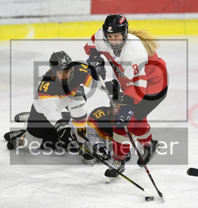 Stadtzeitung.11/23_18