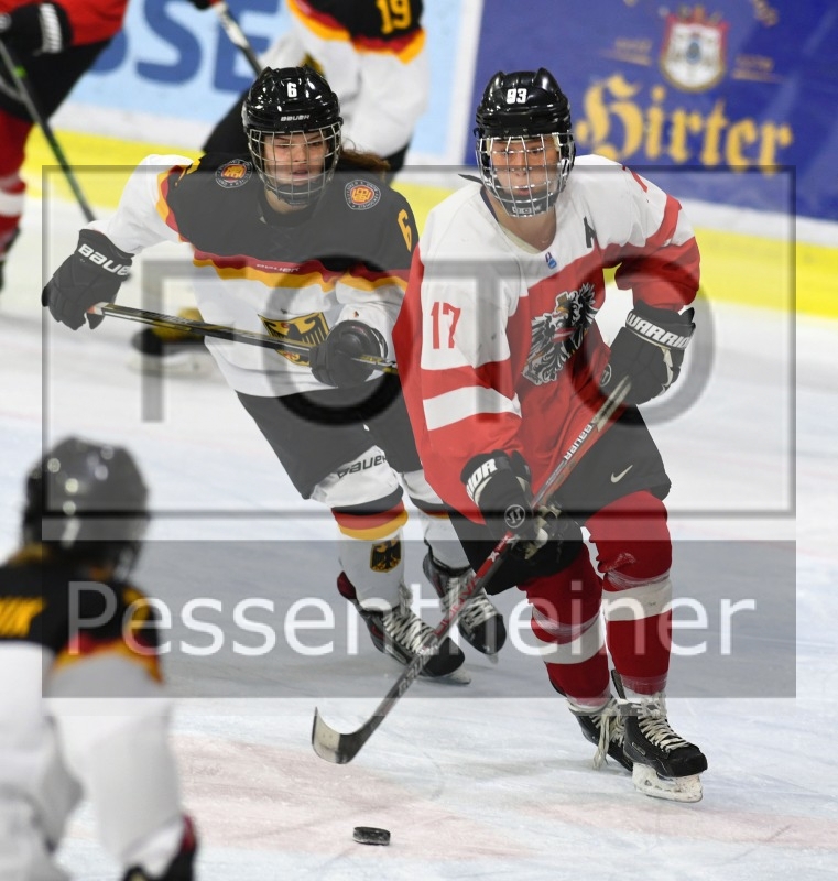 Stadtzeitung.11/23_20