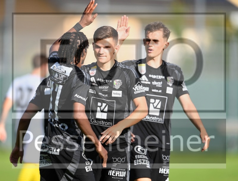 RZ Pellets WAC - NK Radomlje (05.07.2024)_15