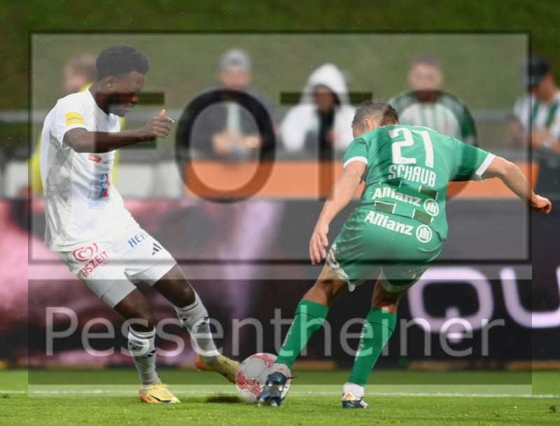 RZ Pellets WAC - SK Rapid Wien (14.09.2024)_17