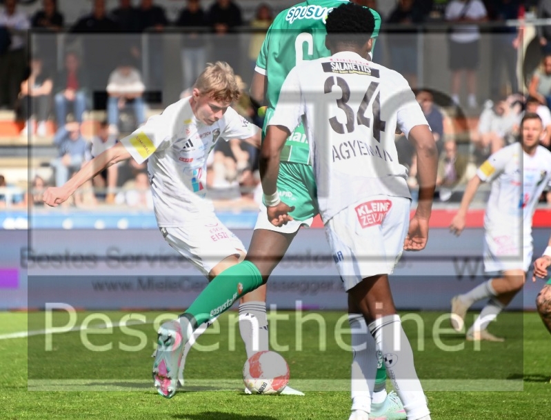 RZ Pellets WAC - SK Rapid Wien (20.04.2025)_29