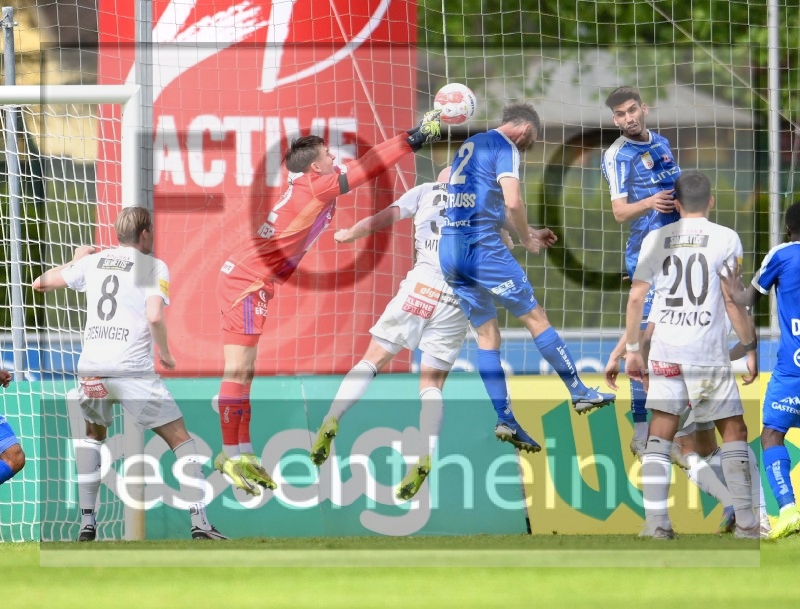 RZ Pellets WAC - Blau Weiß Linz (11.05.2025)_26