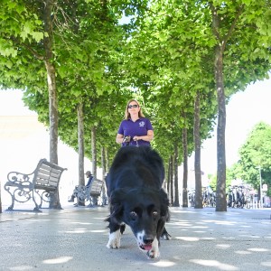 Pettrailer (06.06.2022)_10