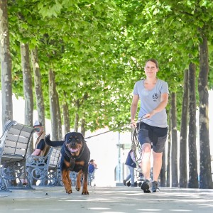 Pettrailer (06.06.2022)_10