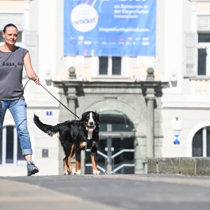 Pettrailer (06.06.2022)_11