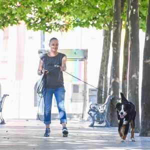 Pettrailer (06.06.2022)_12