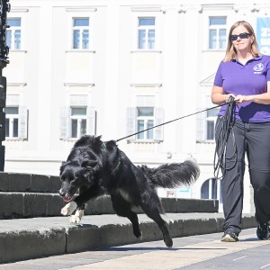 Pettrailer (06.06.2022)_12
