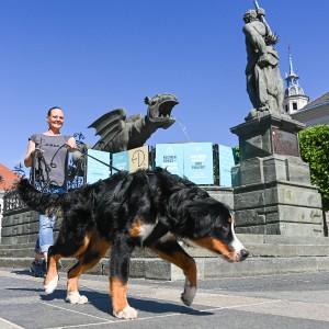 Pettrailer (06.06.2022)_13