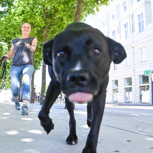 Pettrailer (06.06.2022)_13