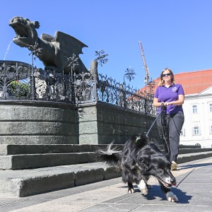 Pettrailer (06.06.2022)_13