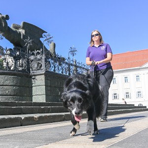 Pettrailer (06.06.2022)_14