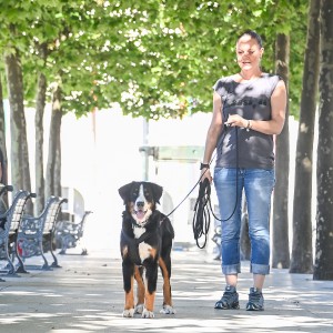 Pettrailer (06.06.2022)_14
