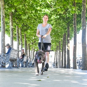 Pettrailer (06.06.2022)_15