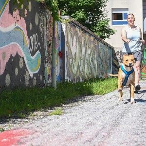 Pettrailer (06.06.2022)