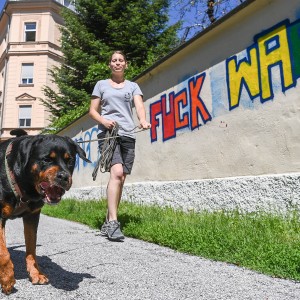Pettrailer (06.06.2022)_5
