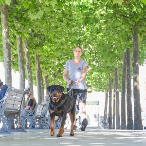 Pettrailer (06.06.2022)_7