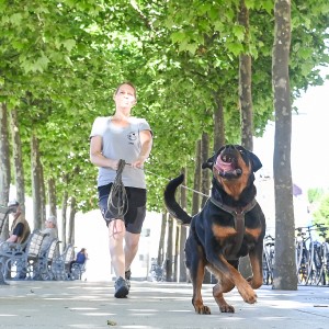 Pettrailer (06.06.2022)_8