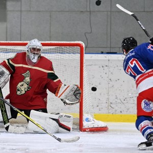 Reifnitz Trouts