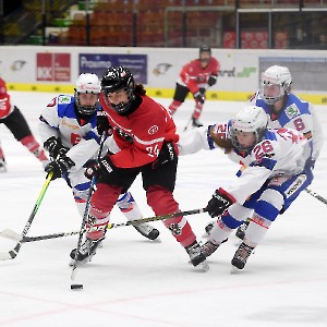 Stadtzeitung.11/23_1