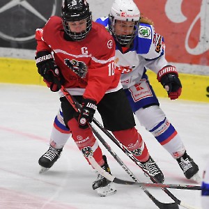 Stadtzeitung.11/23_2