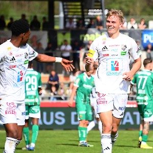 RZ Pellets WAC - SK Rapid Wien (20.04.2025)_21