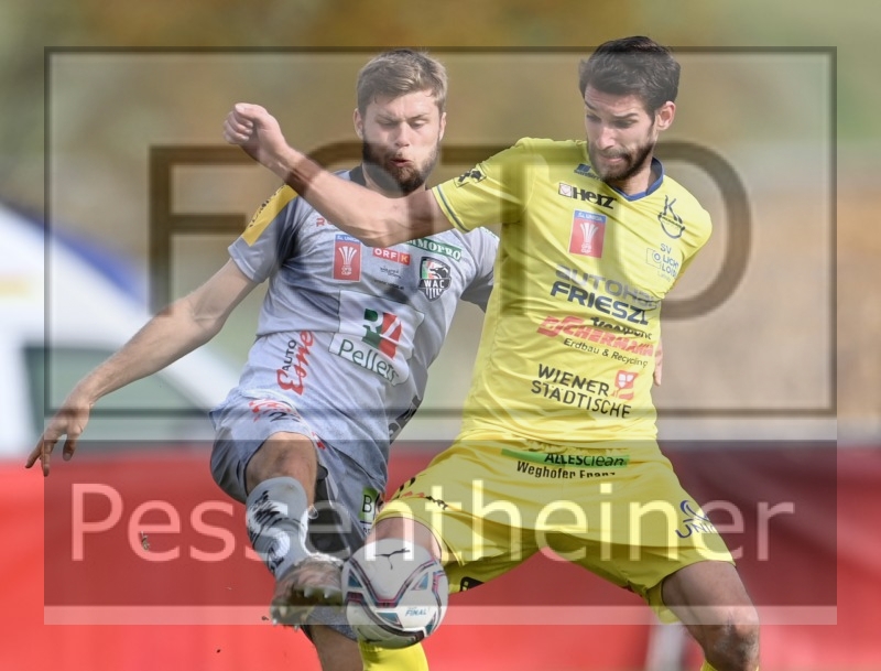 SV Lafnitz - RZ Pellets WAC (26.10.2021)_9
