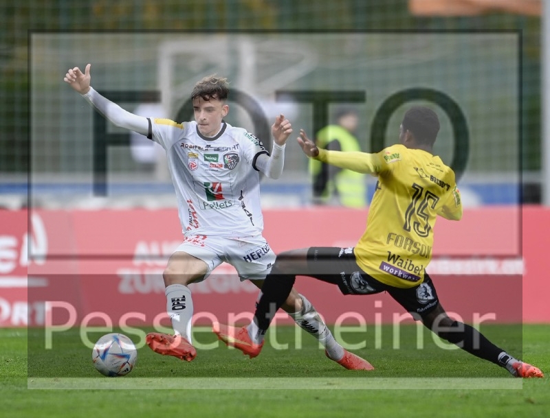 RZ Pellets WAC - SCR ALTACH (23.10.2022)_14