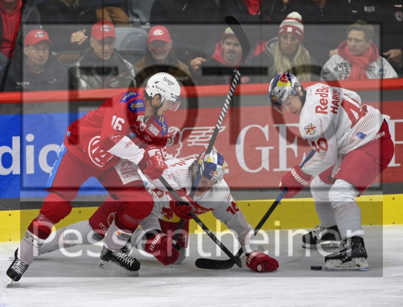 EC-KAC - EC Red Bull Salzburg (19.11.2023)_7