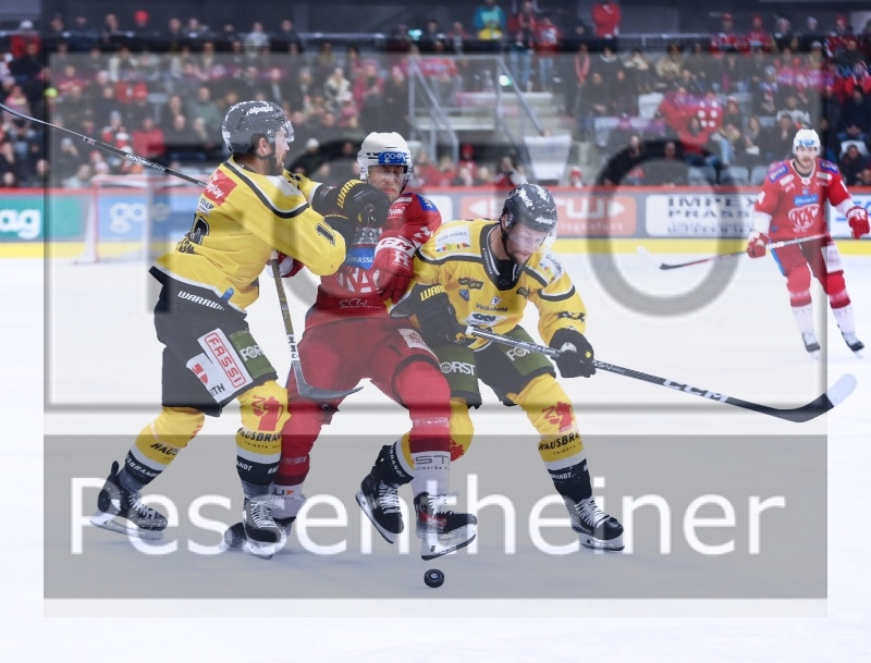 EC-KAC  HC Pustertal Wölfe (24.11.2023)_10