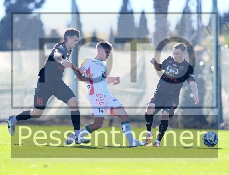 RZ Pellets WAC Testspiel (24.01.2204)_1